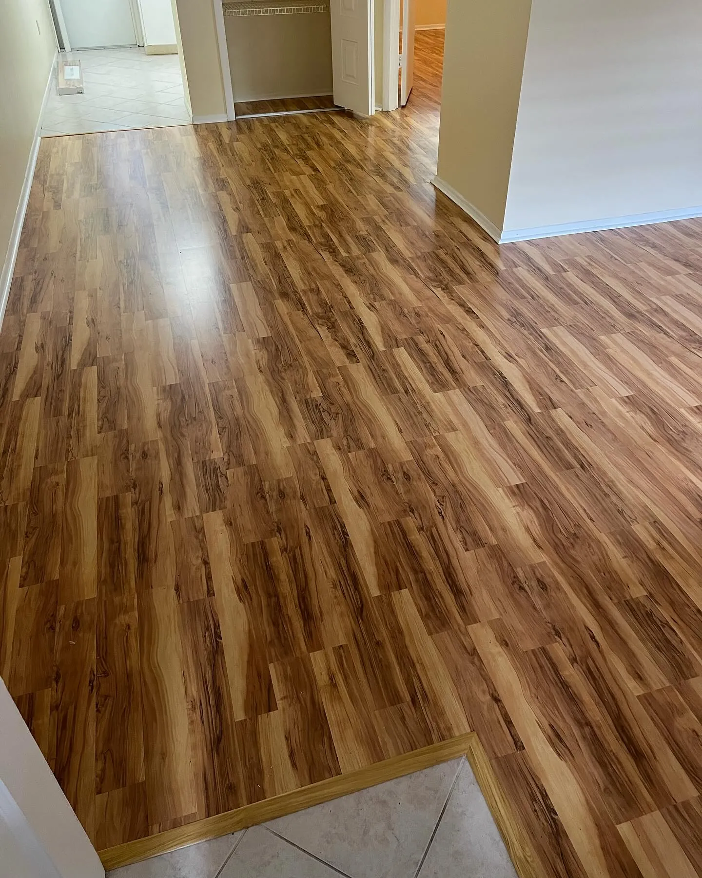 LVP hallway gray whole home installation Holiday FL